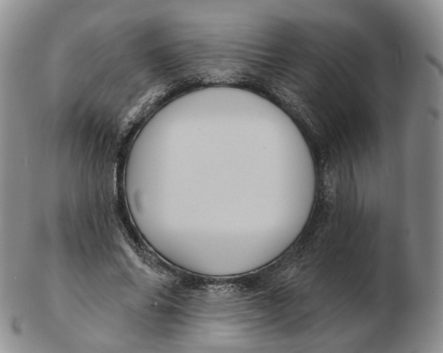 X0000103150686200809121816