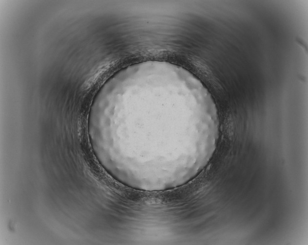 X0000103150687200809121816