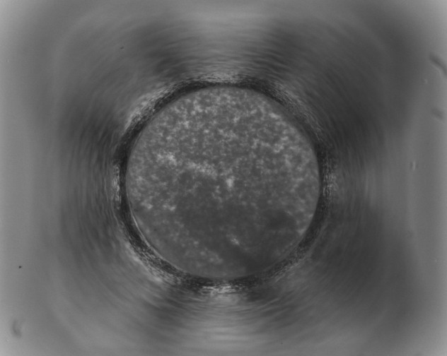 X0000103150688200809121816