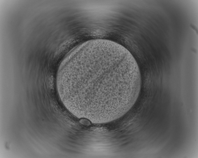 X0000103150689200809121816