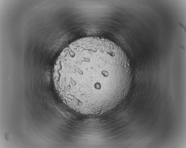 X0000103150691200809121816