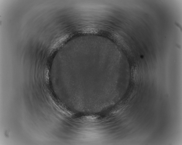 X0000103150692200809121816