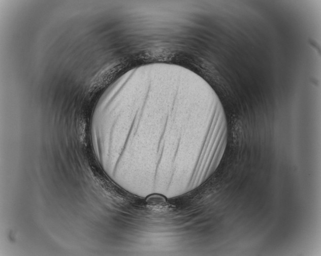 X0000103150693200809121816