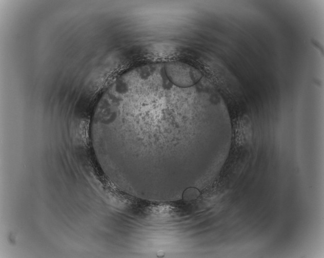 X0000103150695200809121816