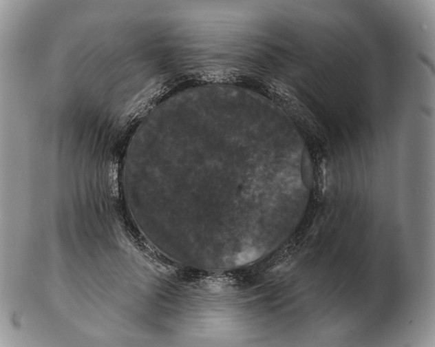 X0000103150696200809121816