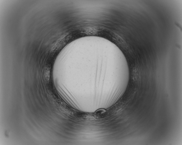 X0000103150697200809121816