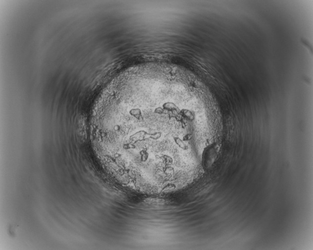 X0000103150699200809121816