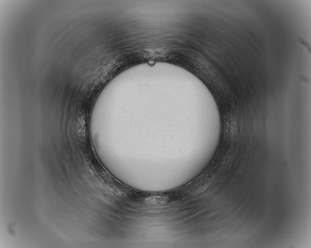 X0000103150700200809121816