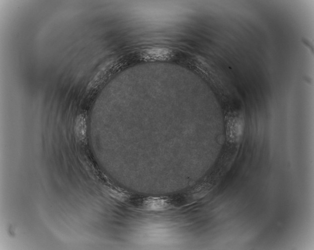 X0000103150701200809121816