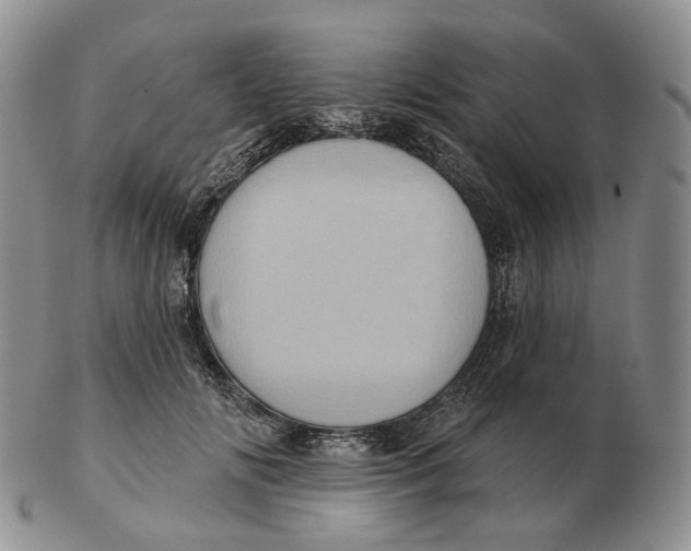 X0000103150702200809121816