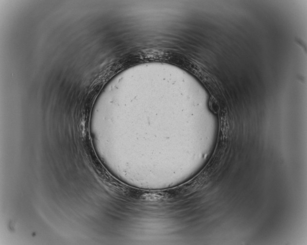 X0000103150703200809121816