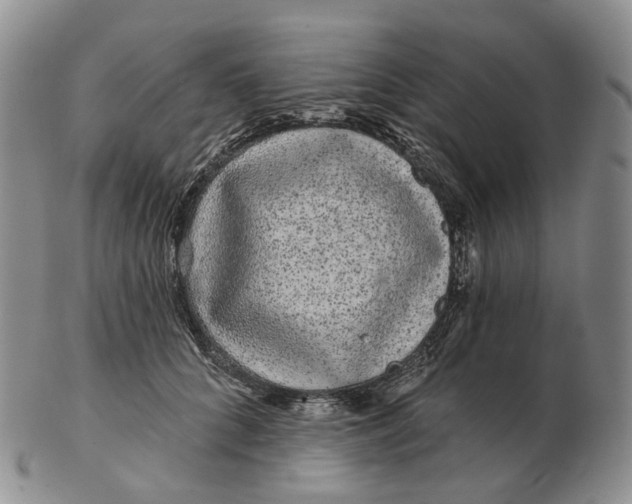 X0000103150704200809121816