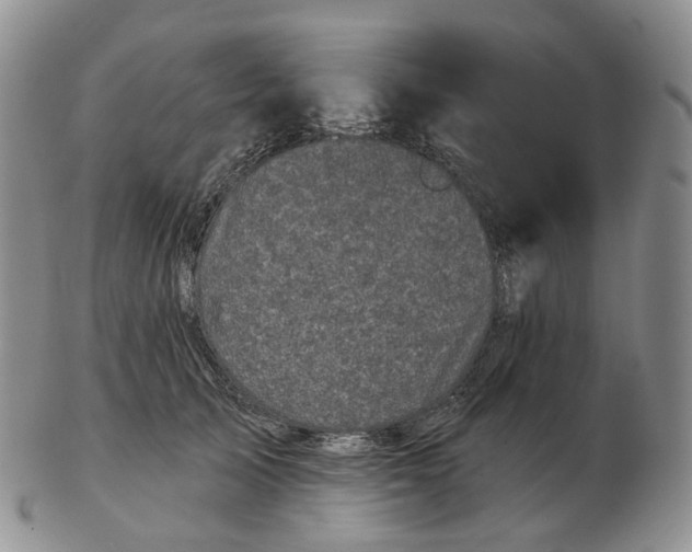 X0000103150705200809121816