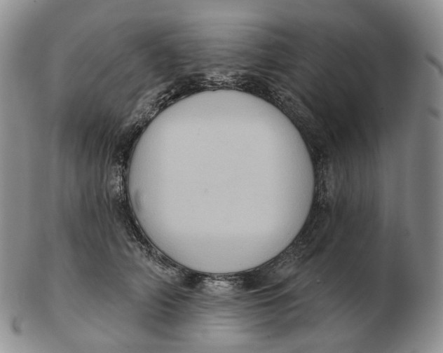 X0000103150706200809121816