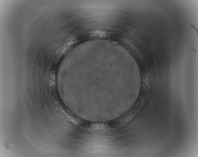 X0000103150708200809121816