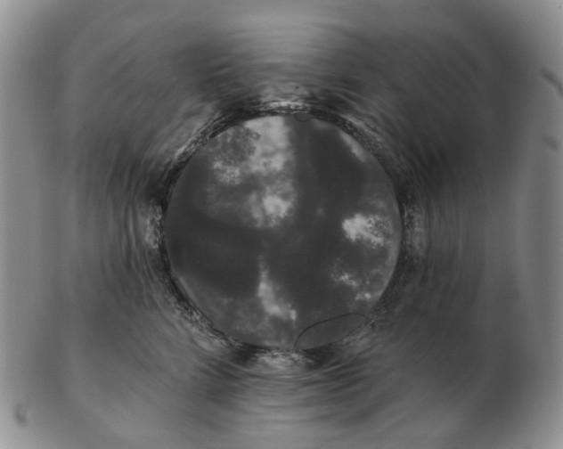 X0000103150712200809121816