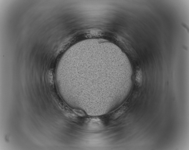 X0000103150715200809121816