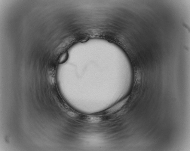 X0000103150719200809121816