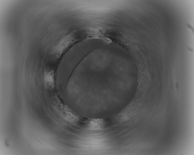 X0000103150720200809121816