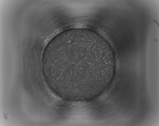 X0000103150721200809121815