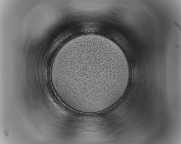 X0000103150722200809121815