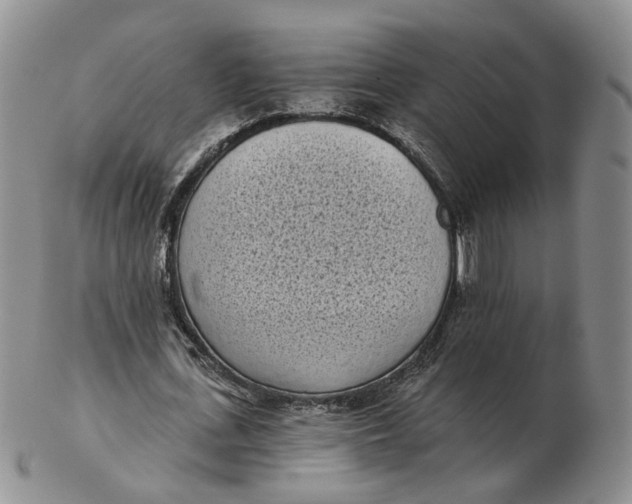 X0000103150723200809121815