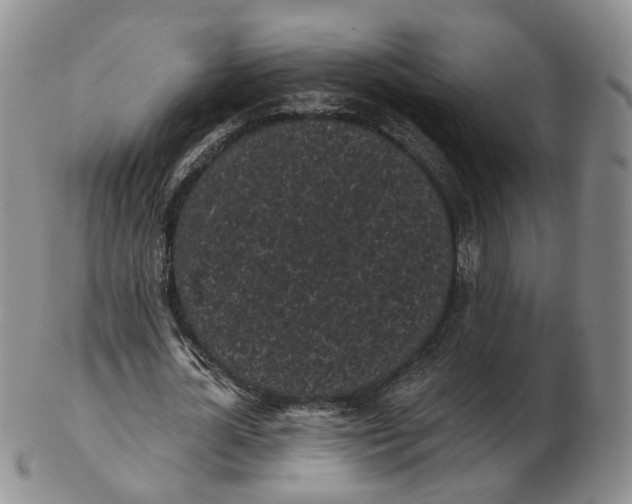 X0000103150724200809121815