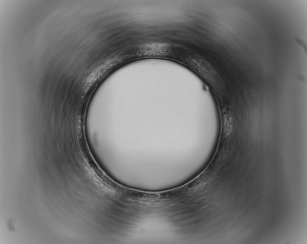 X0000103150725200809121815