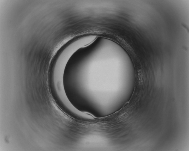 X0000103150726200809121815