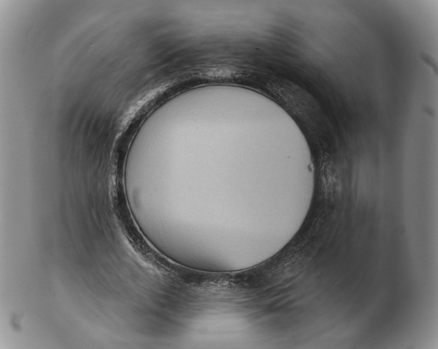 X0000103150728200809121815