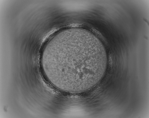 X0000103150730200809121815