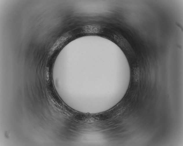 X0000103150731200809121815