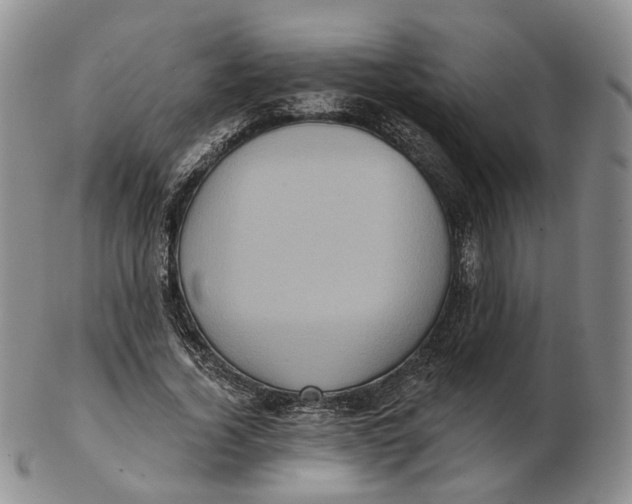 X0000103150732200809121815