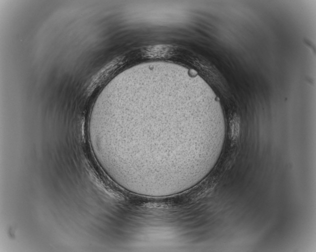 X0000103150733200809121815