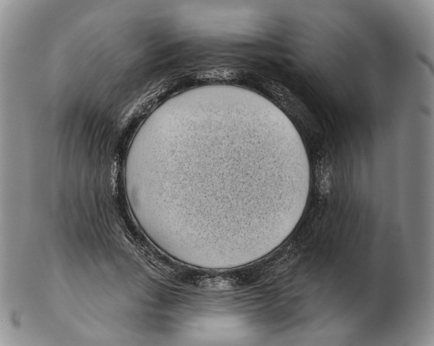 X0000103150735200809121815