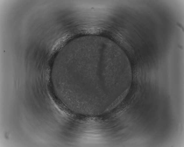 X0000103150736200809121815