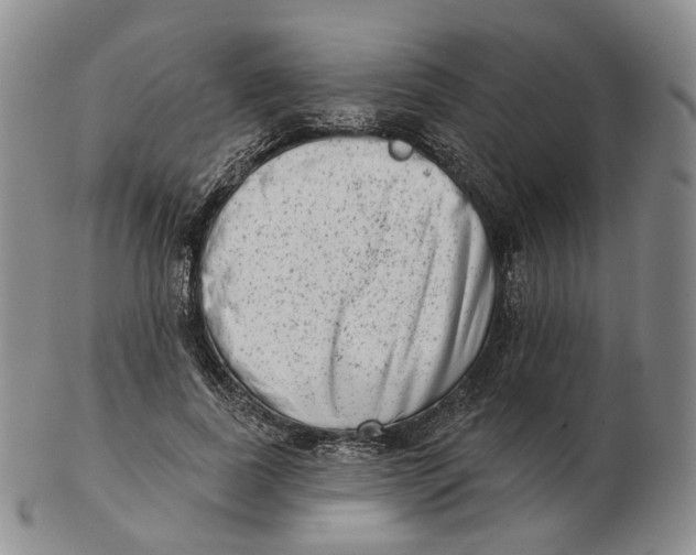 X0000103150739200809121816