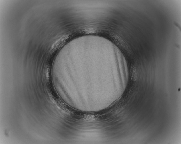 X0000103150740200809121816