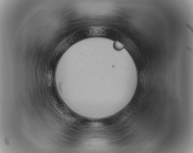 X0000103150741200809121816