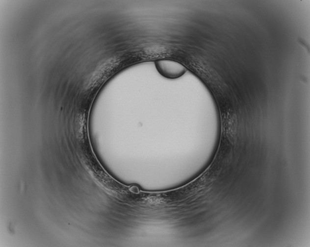 X0000103150742200809121816