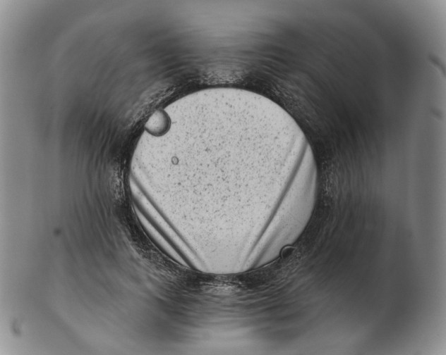 X0000103150743200809121816