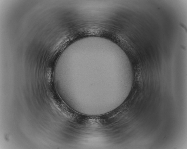 X0000103150744200809121816