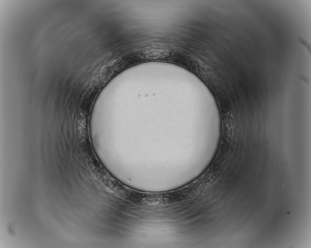 X0000103150745200809121816