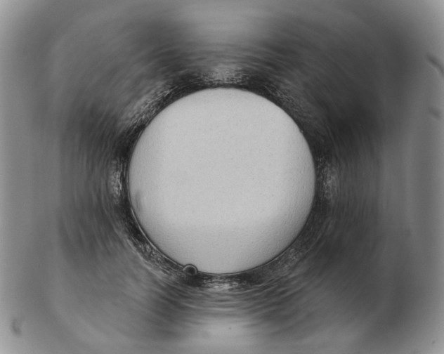 X0000103150746200809121816