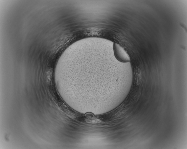 X0000103150747200809121816