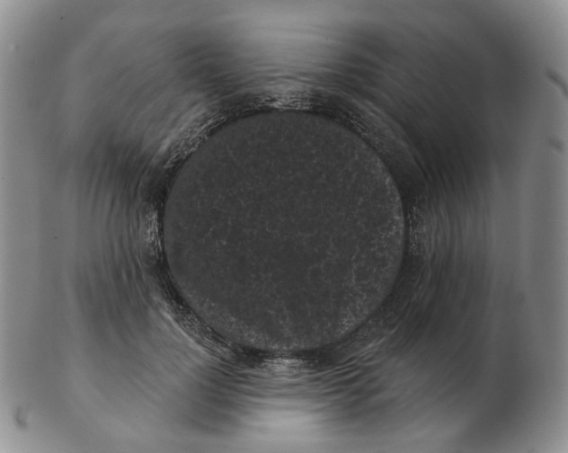 X0000103150748200809121816