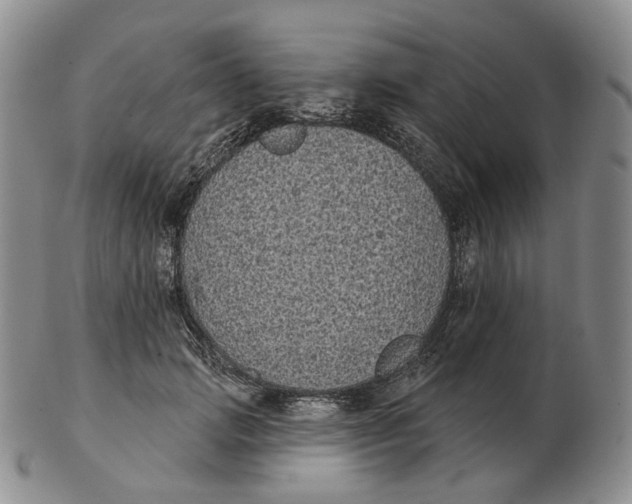 X0000103150749200809121816