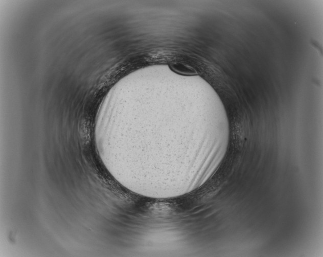 X0000103150751200809121816