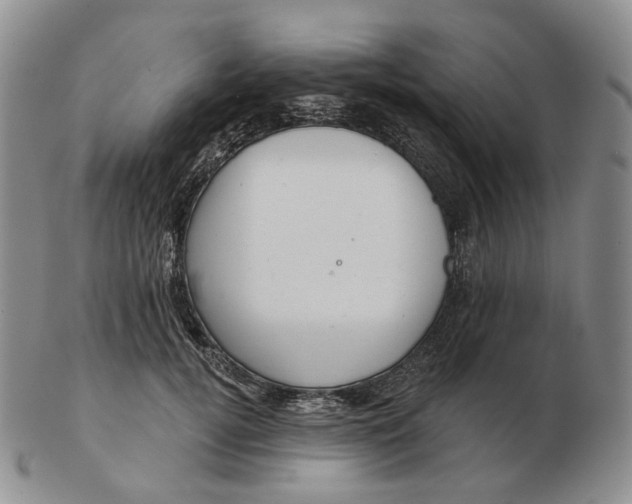 X0000103150752200809121816