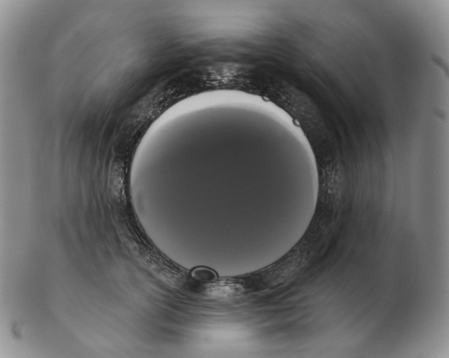 X0000103150754200809121816